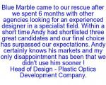 Blue Marble Recruitment Employment agency in St Albans - photo 2