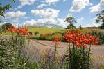 National Botanic Garden of Wales Attraction in Carmarthen - photo 1