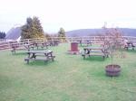 Royal Forester Public H ouse Pub in Cinderford, Forest of Dean - photo 1